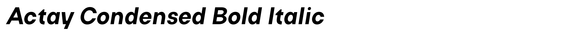Actay Condensed Bold Italic image
